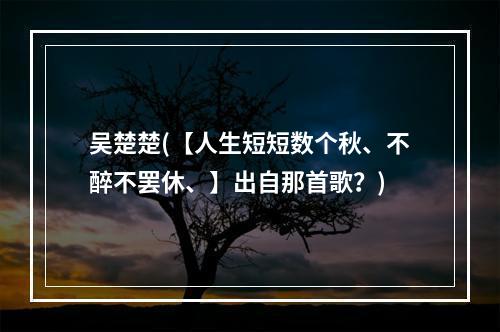 吴楚楚(【人生短短数个秋、不醉不罢休、】出自那首歌？)