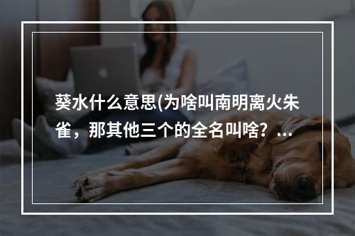 葵水什么意思(为啥叫南明离火朱雀，那其他三个的全名叫啥？)