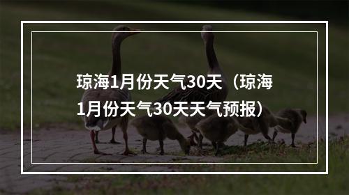 琼海1月份天气30天（琼海1月份天气30天天气预报）