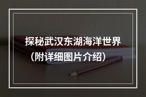 探秘武汉东湖海洋世界（附详细图片介绍）