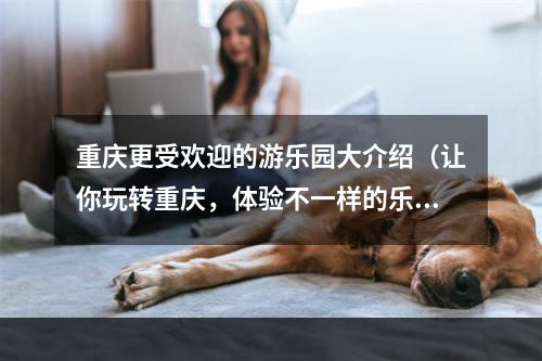 重庆更受欢迎的游乐园大介绍（让你玩转重庆，体验不一样的乐趣）