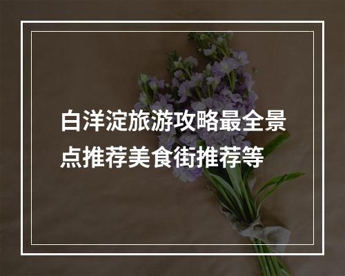 白洋淀旅游攻略最全景点推荐美食街推荐等