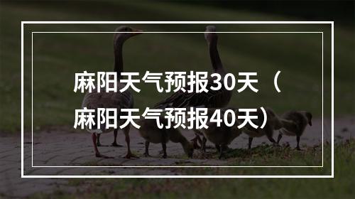 麻阳天气预报30天（麻阳天气预报40天）