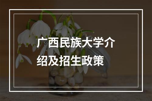 广西民族大学介绍及招生政策