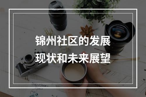 锦州社区的发展现状和未来展望