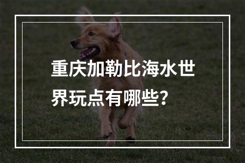 重庆加勒比海水世界玩点有哪些？