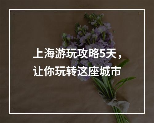 上海游玩攻略5天，让你玩转这座城市