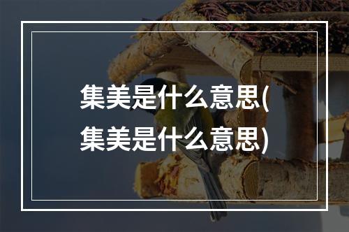 集美是什么意思(集美是什么意思)