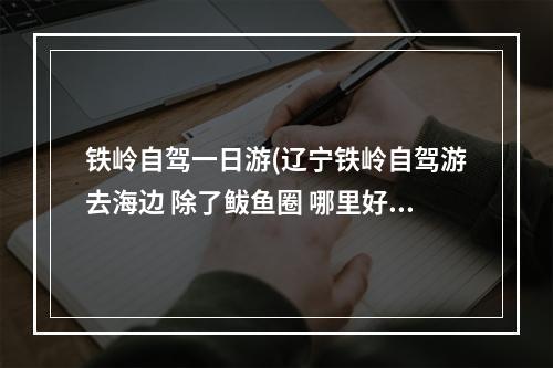 铁岭自驾一日游(辽宁铁岭自驾游去海边 除了鲅鱼圈 哪里好玩还不是特别远 谢谢大家)