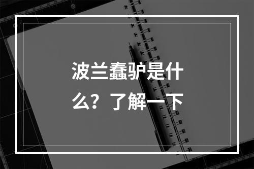 波兰蠢驴是什么？了解一下