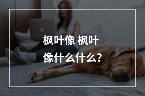 枫叶像 枫叶像什么什么？