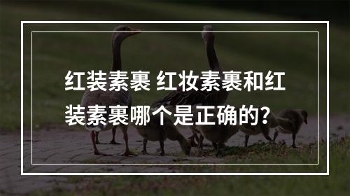 红装素裹 红妆素裹和红装素裹哪个是正确的？