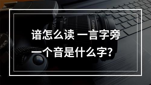 谙怎么读 一言字旁一个音是什么字？