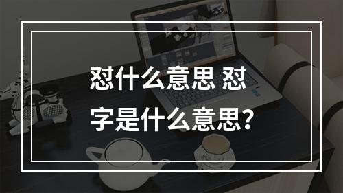 怼什么意思 怼字是什么意思？