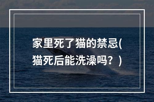 家里死了猫的禁忌(猫死后能洗澡吗？)