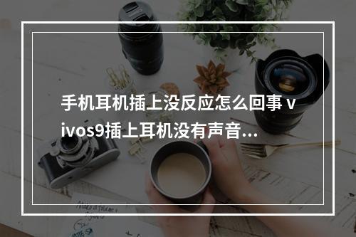 手机耳机插上没反应怎么回事 vivos9插上耳机没有声音？