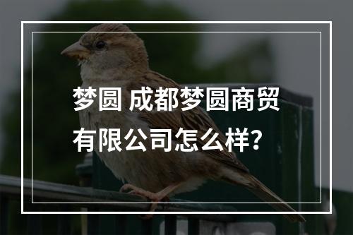 梦圆 成都梦圆商贸有限公司怎么样？