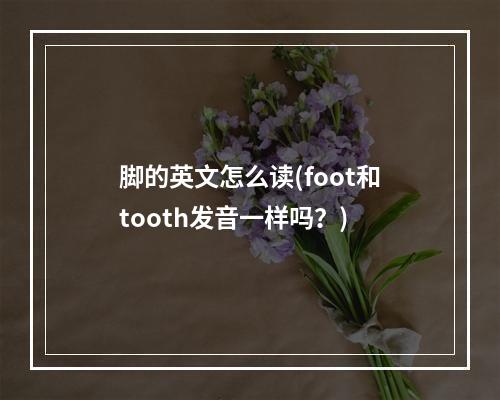 脚的英文怎么读(foot和tooth发音一样吗？)