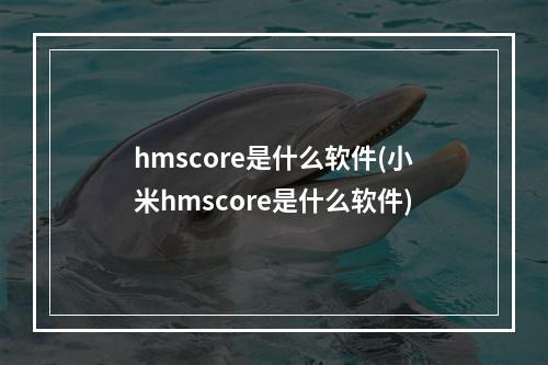 hmscore是什么软件(小米hmscore是什么软件)