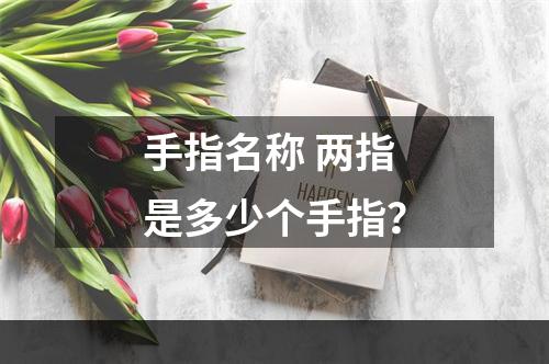 手指名称 两指是多少个手指？