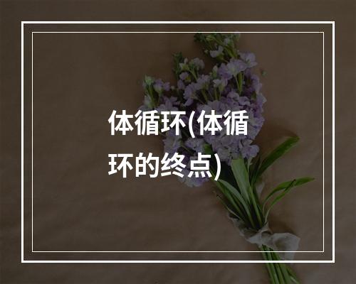 体循环(体循环的终点)