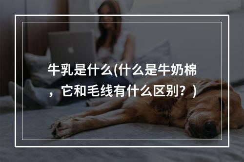 牛乳是什么(什么是牛奶棉，它和毛线有什么区别？)