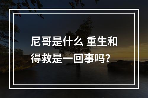 尼哥是什么 重生和得救是一回事吗？