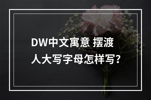 dw中文寓意 摆渡人大写字母怎样写？