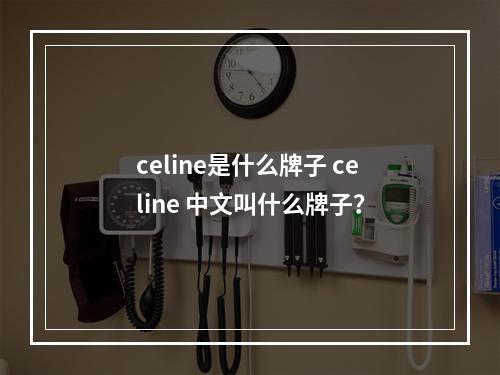 celine是什么牌子 celine 中文叫什么牌子？