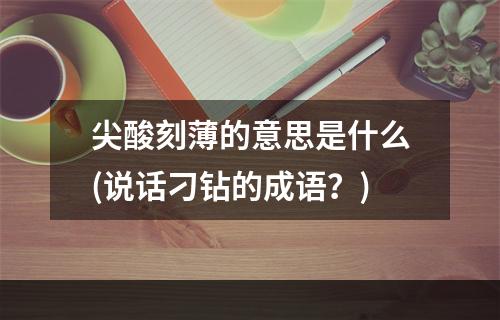 尖酸刻薄的意思是什么(说话刁钻的成语？)