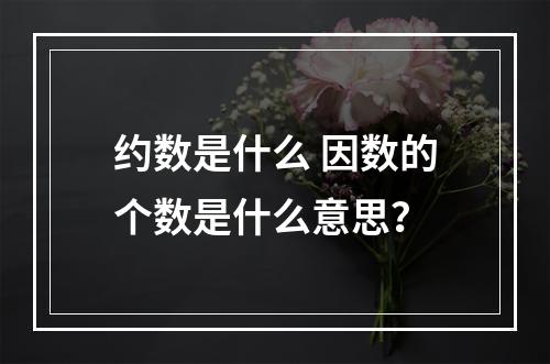 约数是什么 因数的个数是什么意思？