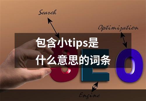 包含小tips是什么意思的词条