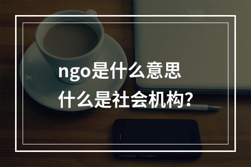 ngo是什么意思 什么是社会机构？