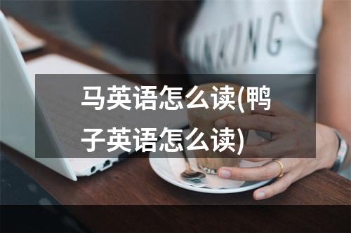 马英语怎么读(鸭子英语怎么读)