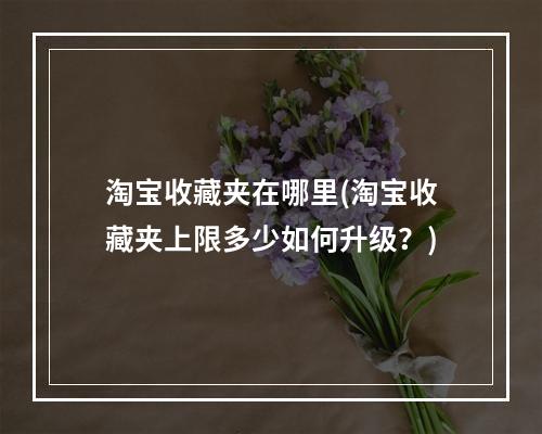 淘宝收藏夹在哪里(淘宝收藏夹上限多少如何升级？)