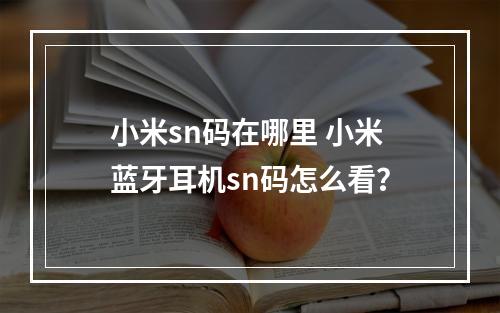 小米sn码在哪里 小米蓝牙耳机sn码怎么看？