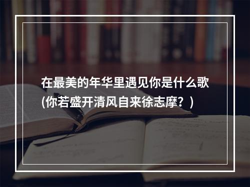 在最美的年华里遇见你是什么歌(你若盛开清风自来徐志摩？)