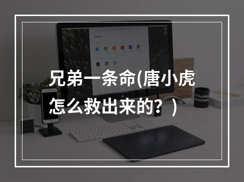 兄弟一条命(唐小虎怎么救出来的？)