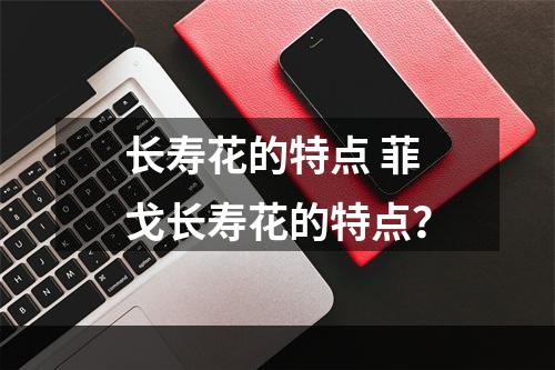 长寿花的特点 菲戈长寿花的特点？