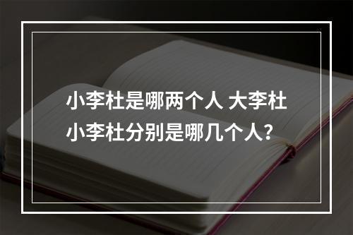 小李杜是哪两个人 大李杜小李杜分别是哪几个人？