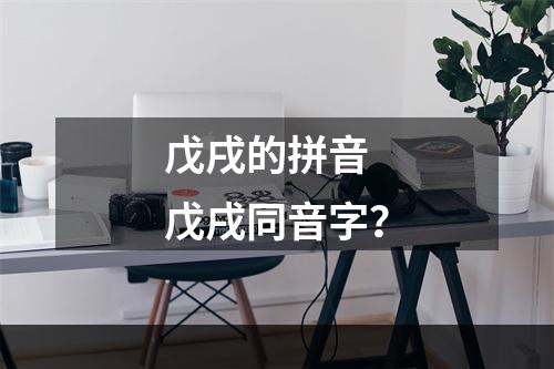 戊戌的拼音 戊戌同音字？