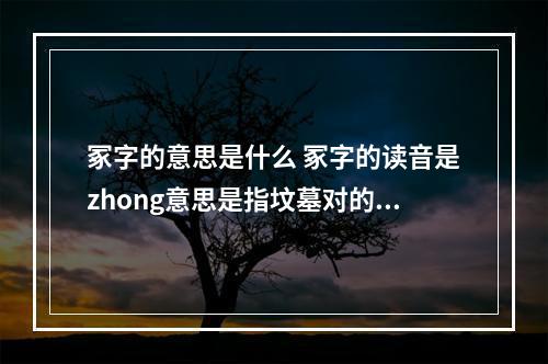 冢字的意思是什么 冢字的读音是zhong意思是指坟墓对的还是错？