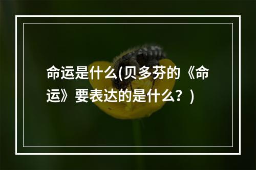 命运是什么(贝多芬的《命运》要表达的是什么？)