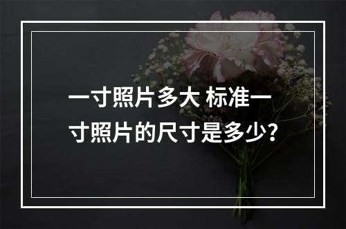 一寸照片多大 标准一寸照片的尺寸是多少？