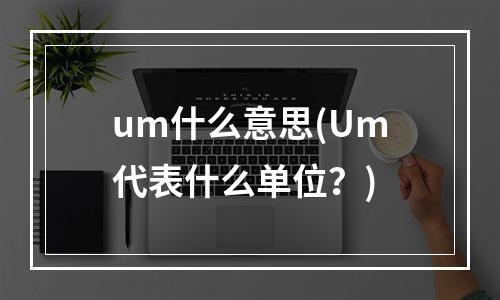 um什么意思(um代表什么单位？)