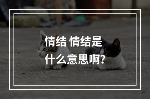 情结 情结是什么意思啊？