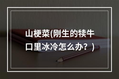 山梗菜(刚生的犊牛口里冰冷怎么办？)