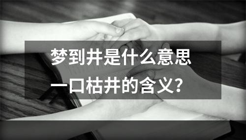 梦到井是什么意思 一口枯井的含义？