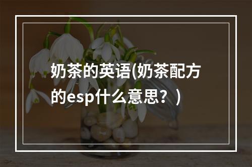 奶茶的英语(奶茶配方的esp什么意思？)