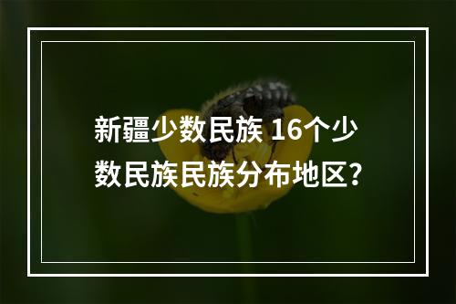 新疆少数民族 16个少数民族民族分布地区？